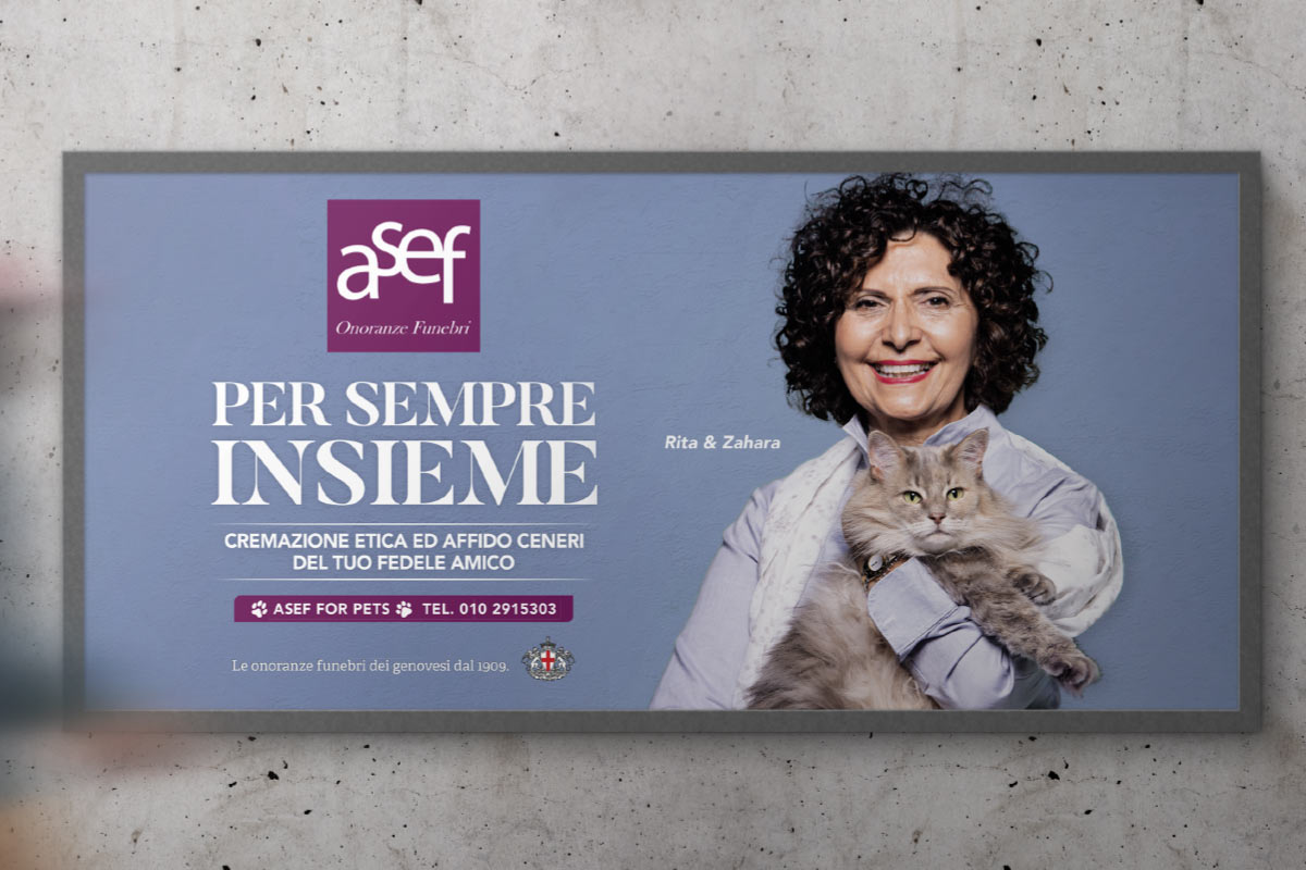 Asef for Pets