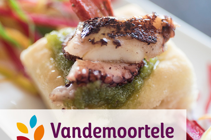 vandemoortele copertina logo